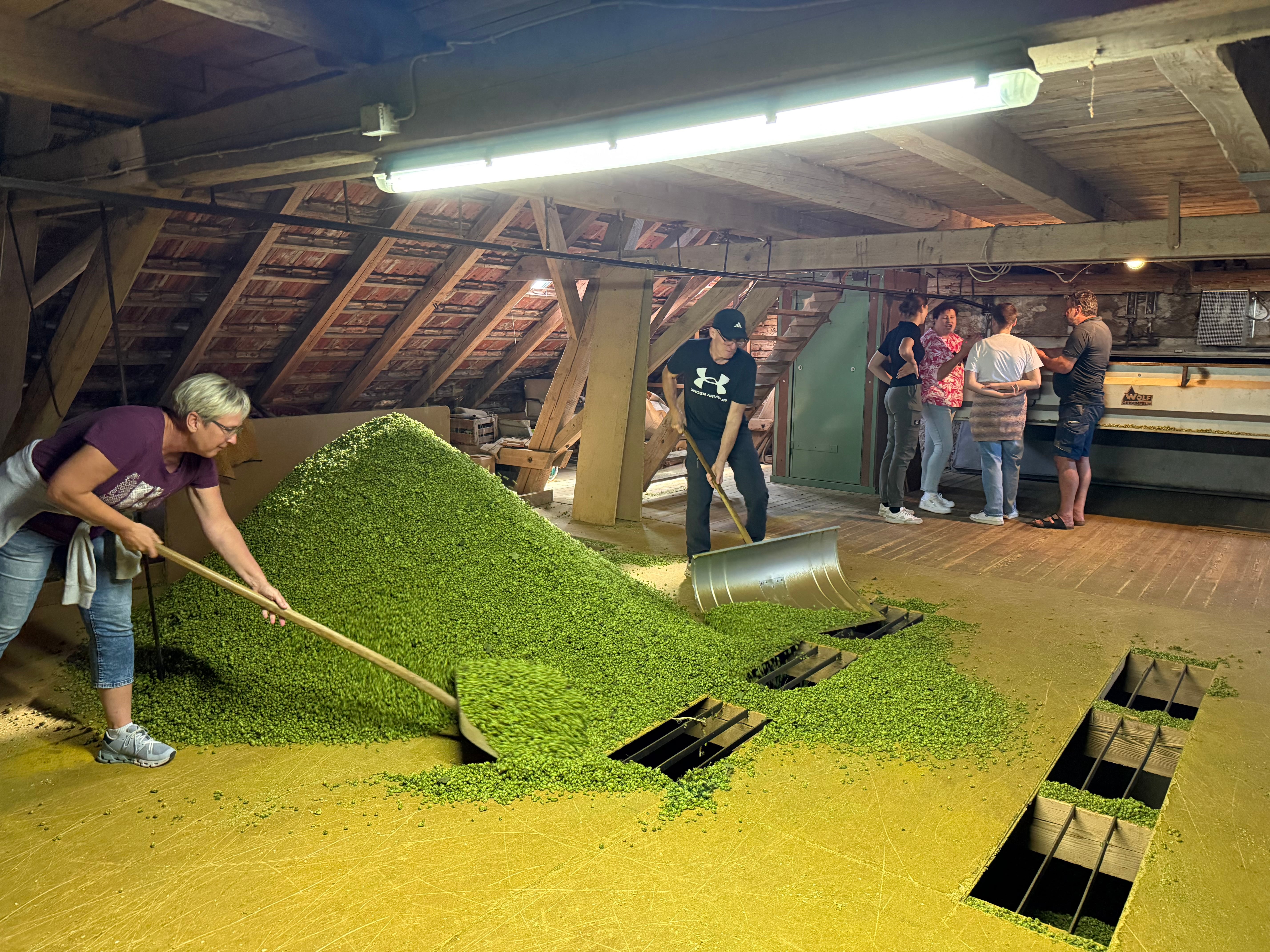 Hopfen-Helfer