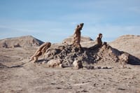 4-Days Discovery at San Pedro de Atacama 9