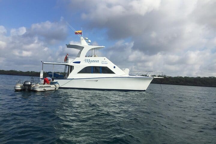 Island Hopping the Galapagos: Your Afternoon Ferry from Isabela to Santa Cruz