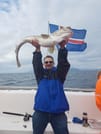 Whales & Sea Angling 9