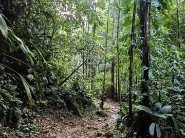 Huacamaillo Waterfall Eco Adventure near Tarapoto, Peru