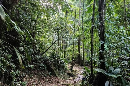 Tar-05 : Jungle Thrills – Huacamaillo Waterfall Eco Experience