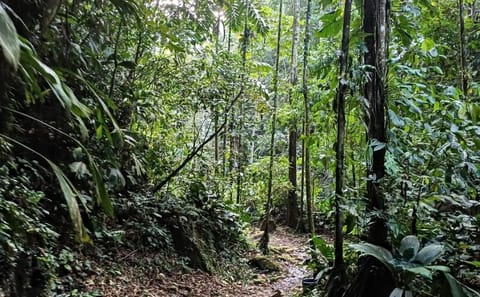 Huacamaillo Waterfall Eco Adventure near Tarapoto, Peru