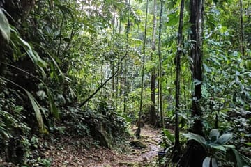 Huacamaillo Waterfall Eco Adventure near Tarapoto, Peru