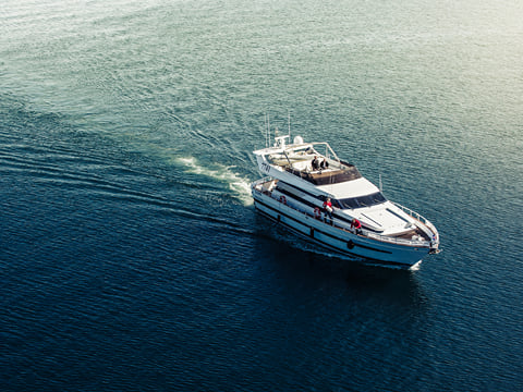 2.5-3 Hour Private Whale Watching on a yacht in Reykjavík, photo 7