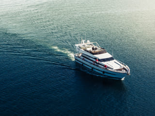 2.5-3 Hour Private Whale Watching on a yacht in Reykjavík, photo 7