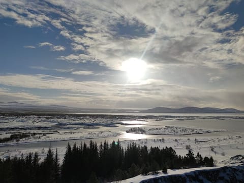 Golden Circle, Cook eggs in a hot spring, Shore Excursion, photo 3