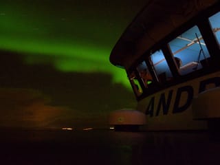 Northern Lights by Boat with a Backup Plan, photo 11
