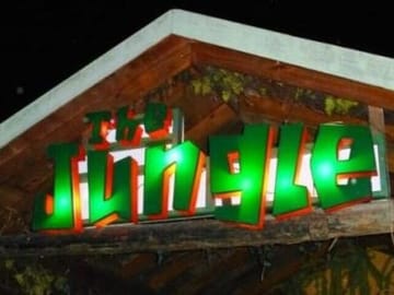 Negril Nightclub Experience with Optional Dinner Adventure