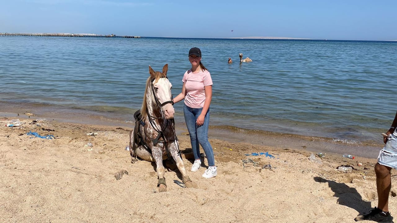 Premium 2 Hours Horse Riding, Desert Trail & Sea Beach - Hurghada 7