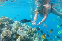Discover Hamata &amp; Qulaan Islands Snorkeling Sea Trip With Lunch - Marsa Alam