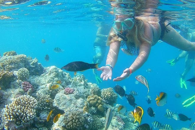 Discover Hamata &amp; Qulaan Islands Snorkeling Sea Trip With Lunch - Marsa Alam