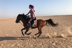 Horse Riding One hour At Amazing Desert With Transfer - Hurghada