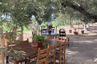 Falassarna Beach Olive and Honey Tasting Private Tour 2