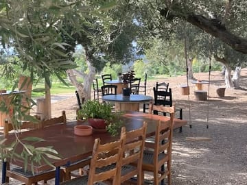 Olive and Honey Tasting Tour at Falassarna Beach