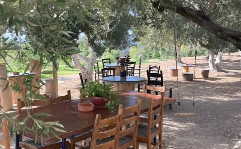 Olive and Honey Tasting Tour at Falassarna Beach