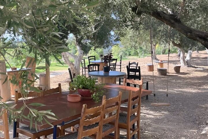 Falassarna Beach Olive and Honey Tasting Private Tour 2