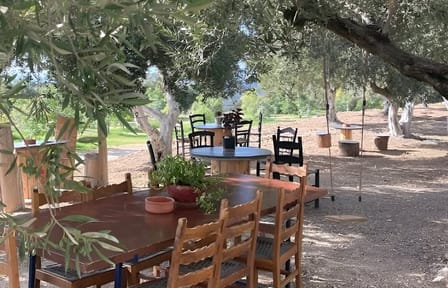 Olive and Honey Tasting Tour at Falassarna Beach