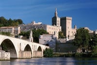 Avignon Popes Palace and Châteauneuf du Pape Wine tour 1