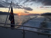 Akureyri Classic Whales in the Midnight Sun 10