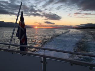 Akureyri Classic Whales in the Midnight Sun, photo 11