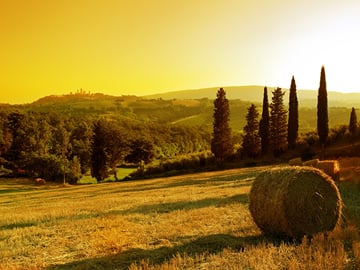 Private 2-Day Culinary Tour in Radda in Chianti, Tuscany