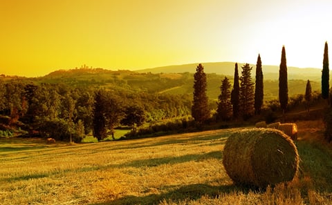 Private 2-Day Culinary Tour in Radda in Chianti, Tuscany