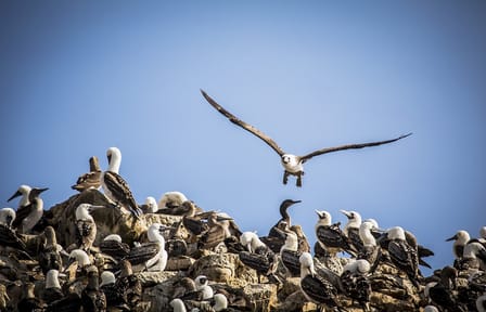 Enigmas of the South, Private Tour