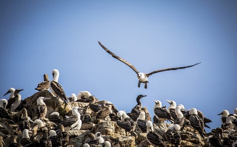 15-Day Cultural and Nature Tour of Arequipa, Colca, and Cusco