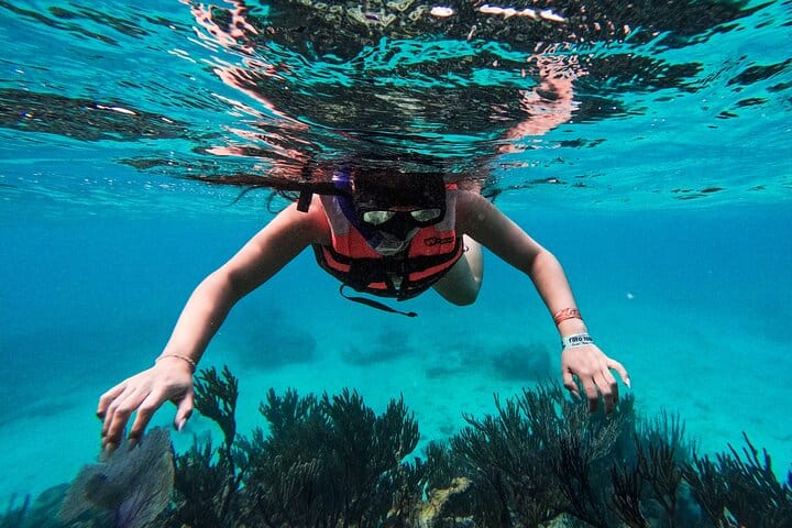 The Tulum Sea Turtle and Rays 1.5 Hours Snorkel Experience 2