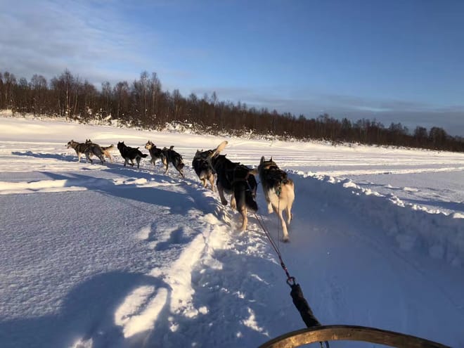 Welcome to the Arctic Circle - Winter photo 4