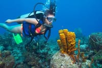 PADI Open Water Course Advanced Diving in Hurghada - Hurghada