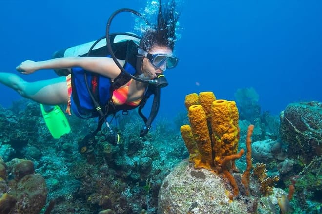 PADI Open Water Course Advanced Diving in Hurghada - Hurghada