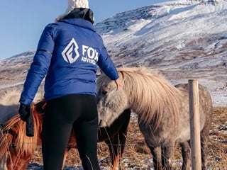 Private! Majestic Iceland: Goðafoss Waterfall, Holiday Magic and Horseback Bliss, photo 6