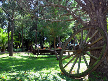 Gaucho Cultural Day Trip to Don Silvano Ranch from Buenos Aires