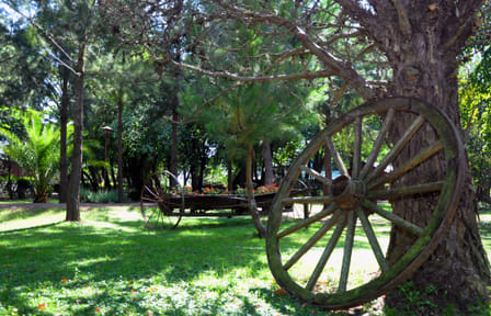 Gaucho Day Trip from Buenos Aires: Don Silvano Ranch