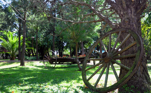 Gaucho Cultural Day Trip to Don Silvano Ranch from Buenos Aires