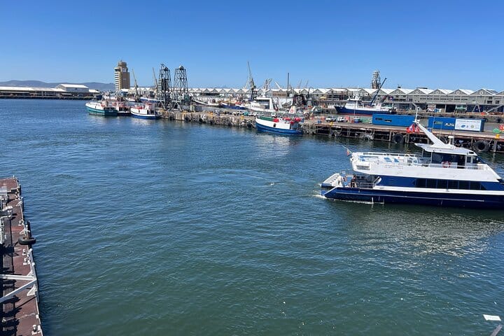 Robben Island Half Day Tour With Pre Booked Ticket from Cape Town