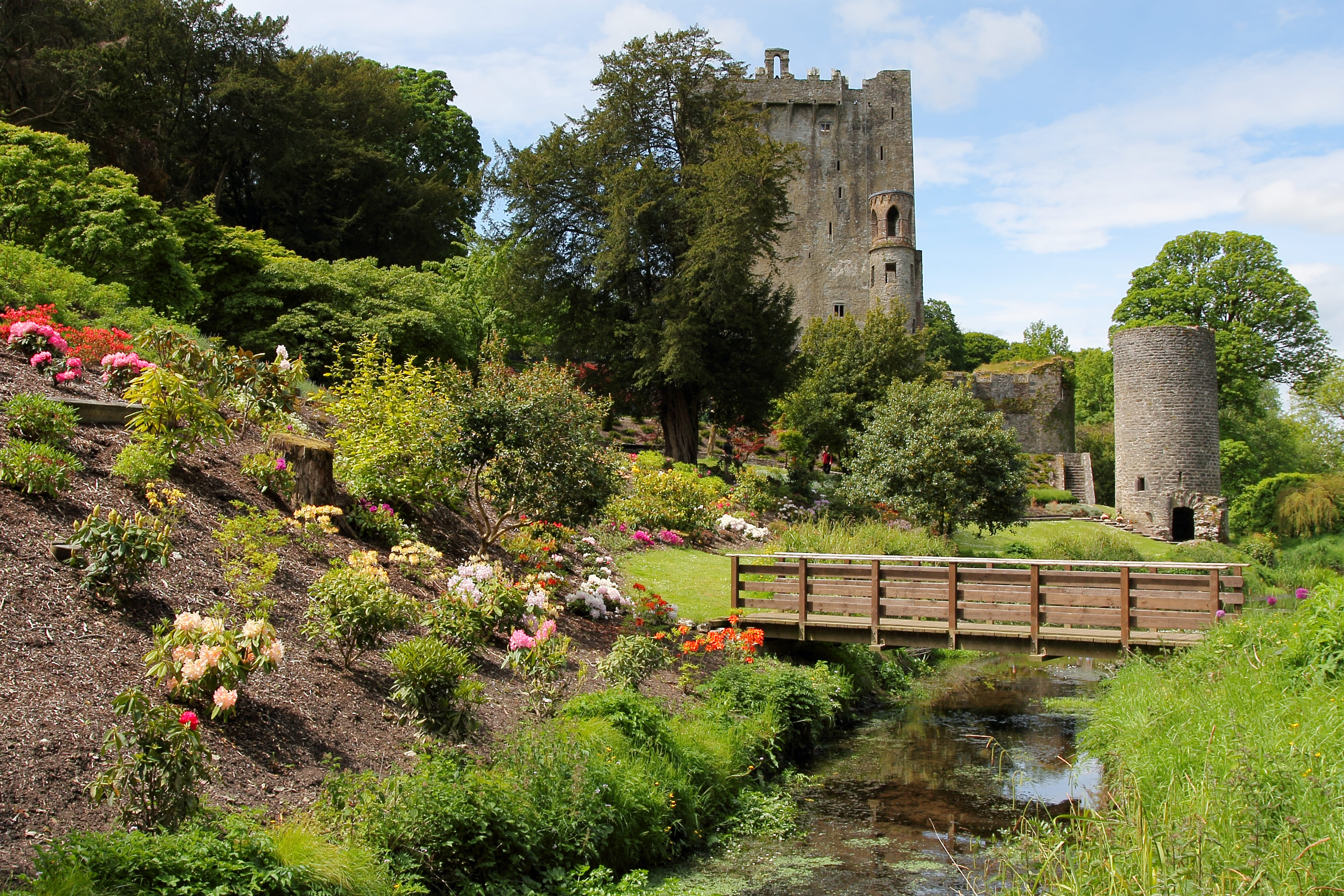 Blarney Castle Full-Day Tour