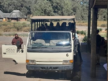 Private Aquila Game Safari with Lunch from Cape Town