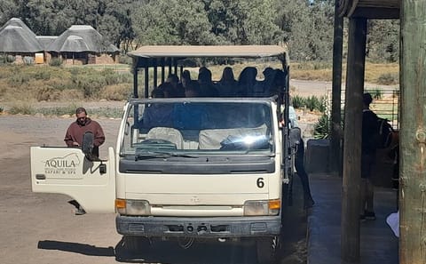 Private Aquila Game Safari with Lunch from Cape Town