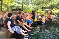 Natural Hot Spring