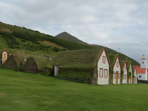 Akureyri Port: Small Group Godafoss Waterfall and Laufas Turf House Tour, photo 4