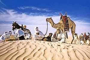 4-Day Private Tour: Sahara and Djerba Island from Tunis and Hammamet