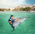 Dreams Puerto Aventuras: Dolphin Royal Swim  4