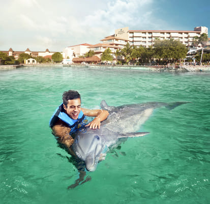 Dreams Puerto Aventuras: Dolphin Encounter 
