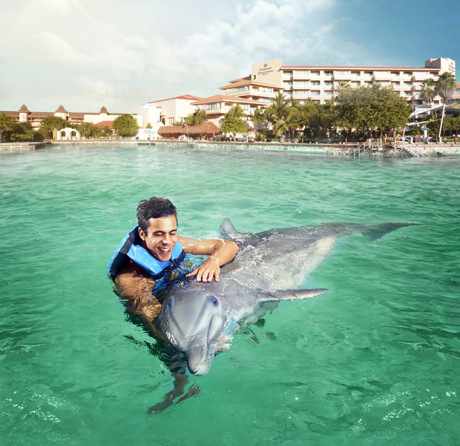 Dolphin Swim Adventure en Dreams Puerto Aventuras photo 4