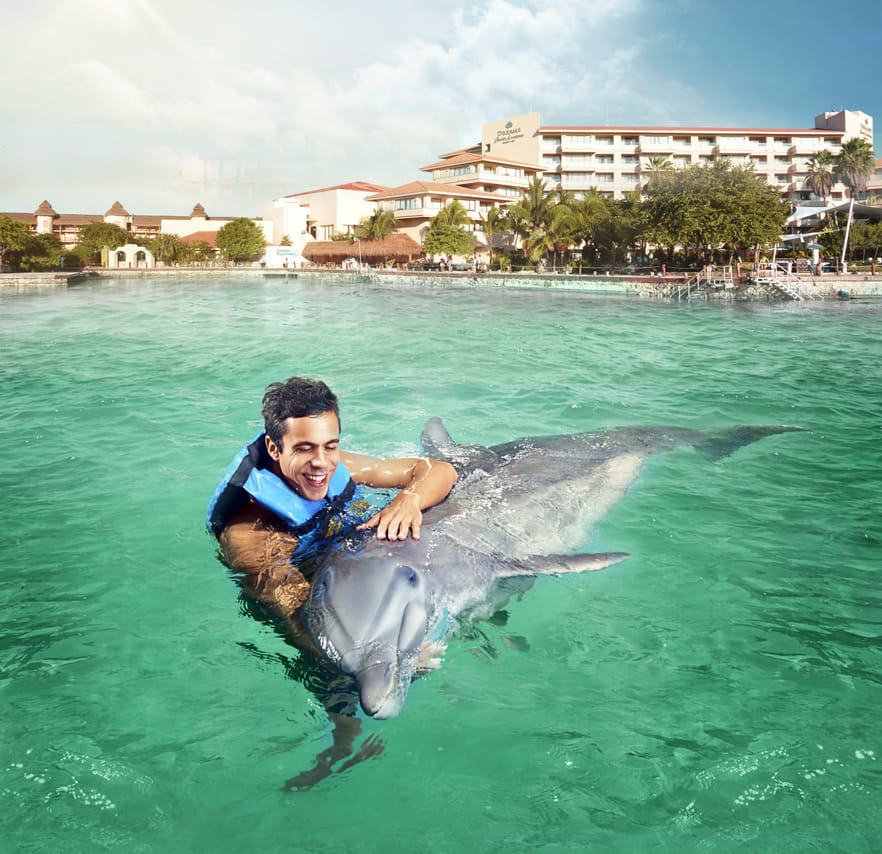 Dreams Puerto Aventuras: Dolphin Royal Swim  4