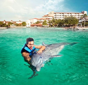 Dolphin Encounter en Dreams Puerto Aventuras