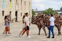 Santo Domingo Small Group Walking Tour: Beer and Specialty Coffee 2